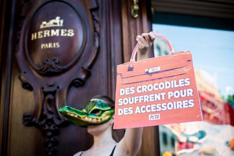 Louis Vuitton Parent Company Tied to 'Inhumane' Crocodile Harvesting  Practices - The Fashion Law